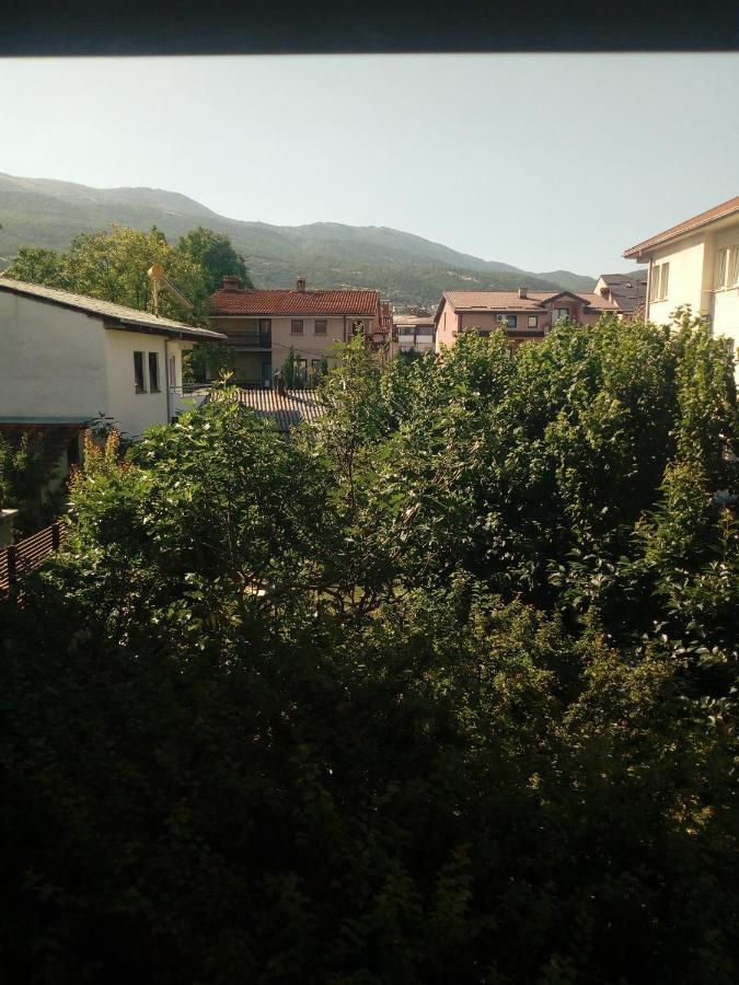 Vila Dudan Ohrid Bagian luar foto